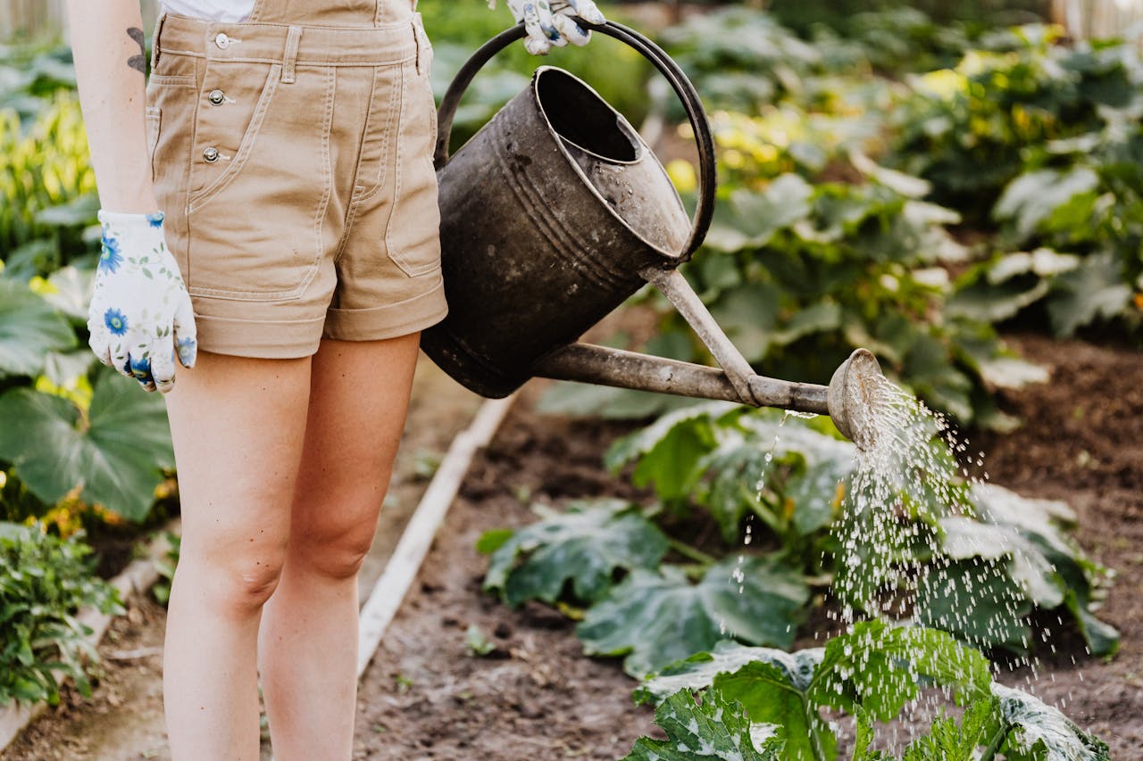 Mastering the First Impression: Your intriguing post title goes here A woman waters plants in a lush home garden with a metal watering can.